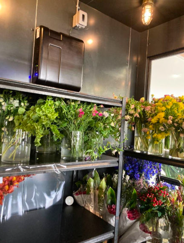 Esmeralda Farms pre-cooler facility showing floral storage with Airocide air purification system