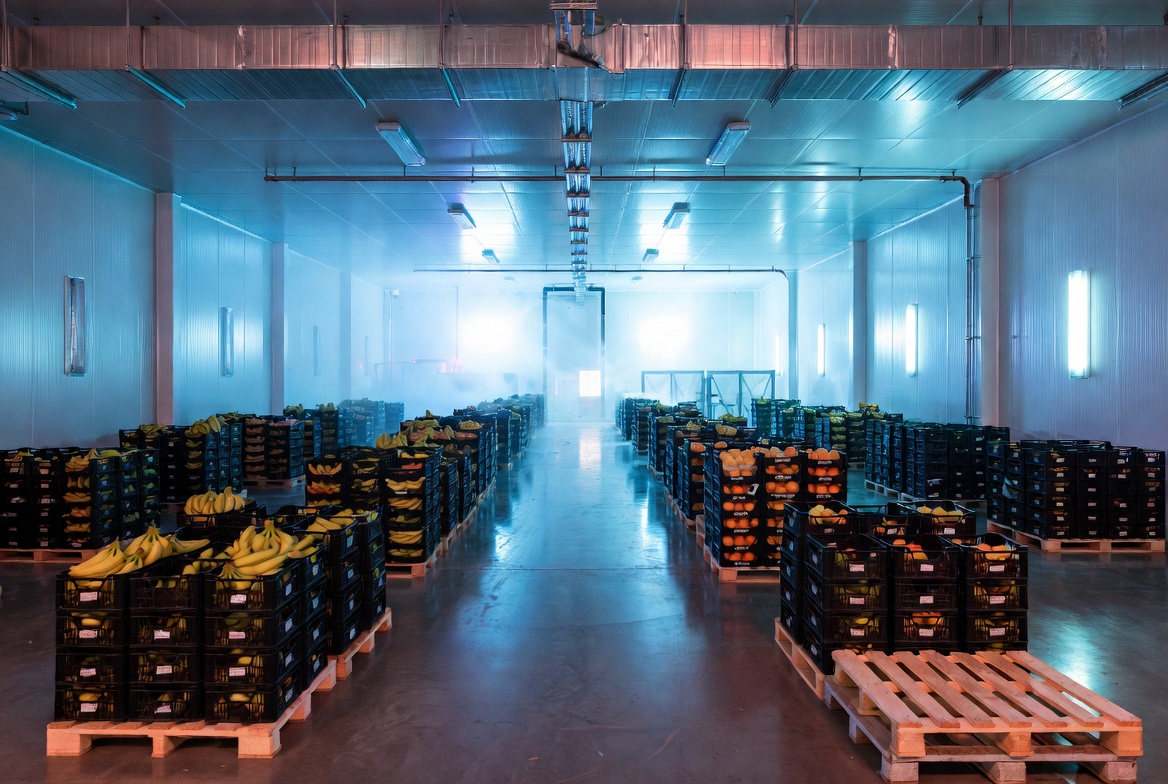 Del Monte Case Study: 99.8% Ethylene Reduction | Airocide Case Study